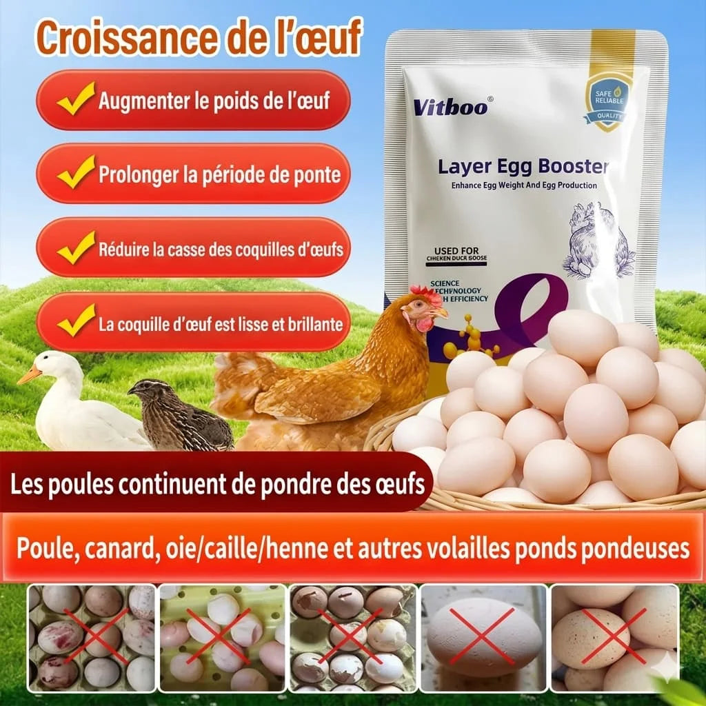 Egg Booster™ – Stimulateur de Ponte Haute Performance2026