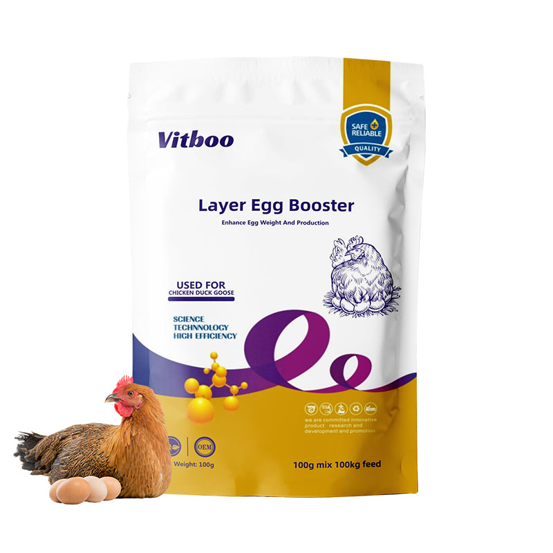 Egg Booster™ – Stimulateur de Ponte Haute Performance2026